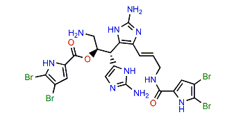 Nagelamide L